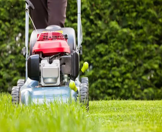 Choosing the Right Mower Height for Spring Lawns