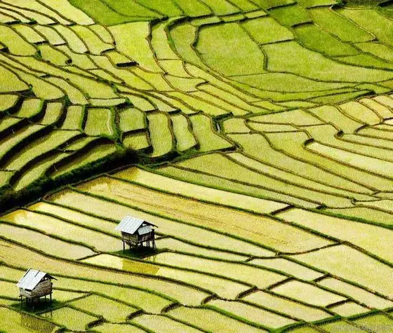 Top 10 Must-Visit Destinations in Thailand and What to Avoid