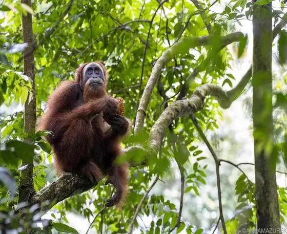 Exploring 2024: My Top Travel Highlights from Around the Globe