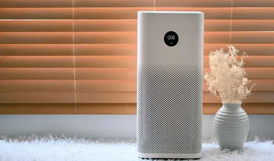 Key Features to Consider When Choosing an Air Purifier