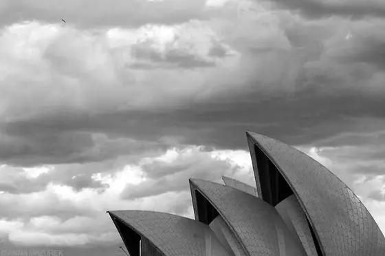 Exploring Opportunities to Work Abroad and Travel