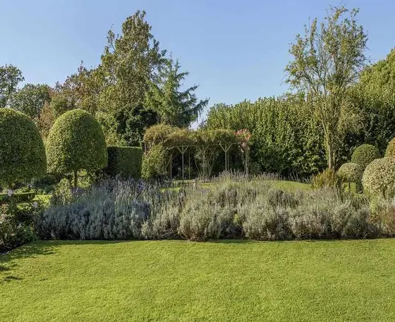 Timing Your Lawn Dethatching for Optimal Growth