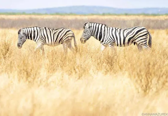 Captivating Travel Moments from My 2025 Journeys