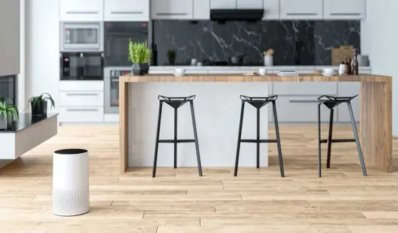 Optimal Air Purifier Placement for Better Indoor Air Quality