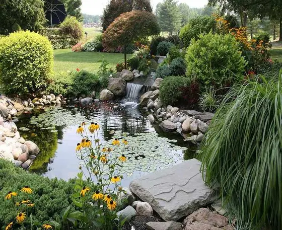 Transform Your Yard with a Rain Garden to Combat Waterlogging