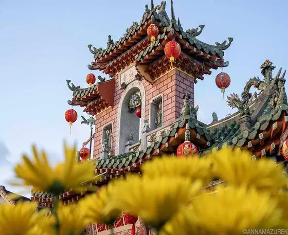Saily eSIM Experience: My Journey Through Southeast Asia