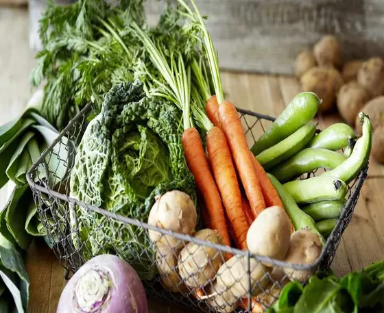 Top 10 Easiest Vegetables to Grow for Beginner Gardeners