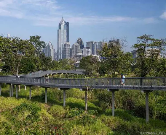 Top 10 Must-See Attractions in Bangkok for Your Next Adventure