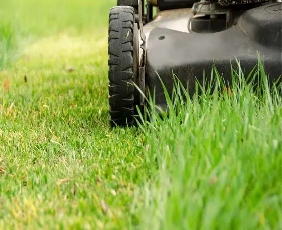 Can Your Lawnmower Blades Be Too Sharp? Tips to Avoid Common Mistakes