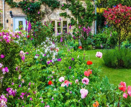 Understanding Soil Health for Thriving Gardens