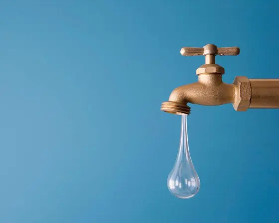 How to Repair a Leaky Faucet: A Step-by-Step Guide for Homeowners
