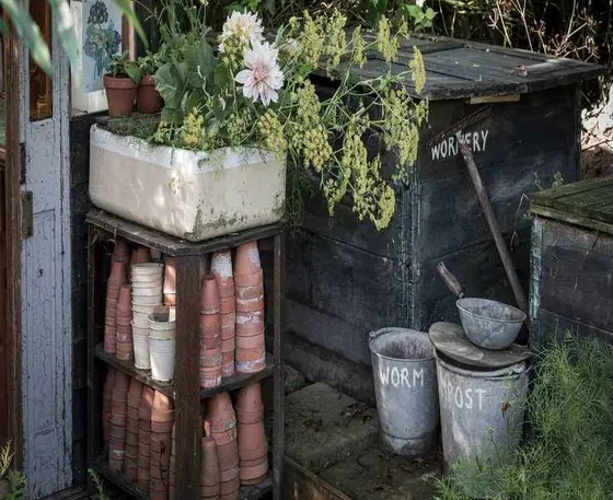 Using a Wormery for Composting: A Beginner's Overview