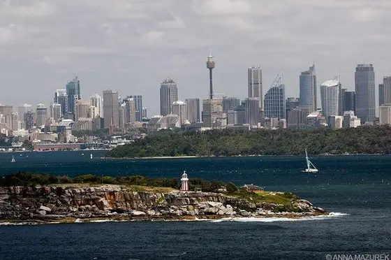 Battling a Massive Spider in Sydney: A Terrifying Experience