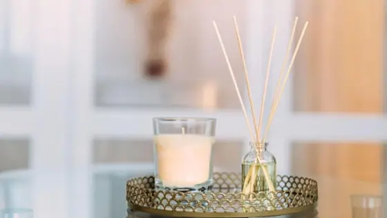 Reed Diffusers vs Scented Candles: A Master Perfumer's Honest Verdict