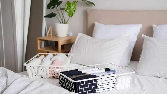 6 Must-Have Essentials for Effortlessly Organized Spaces
