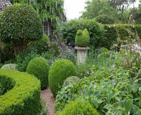 10 Evergreen Shrubs for Year-Round Garden Interest