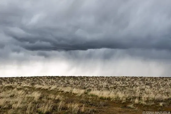 4 Strategies for Handling Challenging Travel Days and Spiders