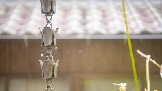 Elevate Your Garden with ALDI's Stylish New Rain Chain Feature