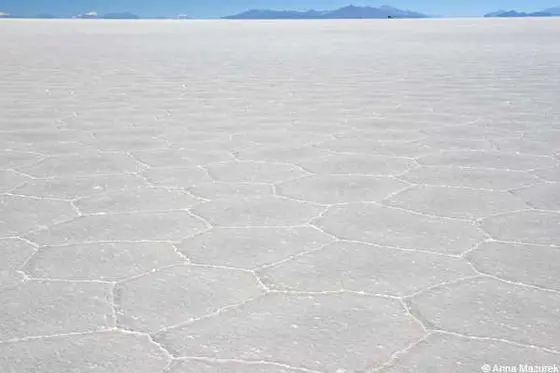 Exploring Salar de Uyuni: A Journey Through Bolivia's Salt Flats