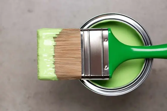 Eco Paints: Discovering the Top Eco-Friendly Emulsions