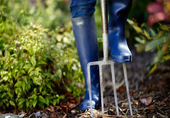 Understanding Soil Types for Thriving Gardens