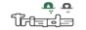 Triads logo