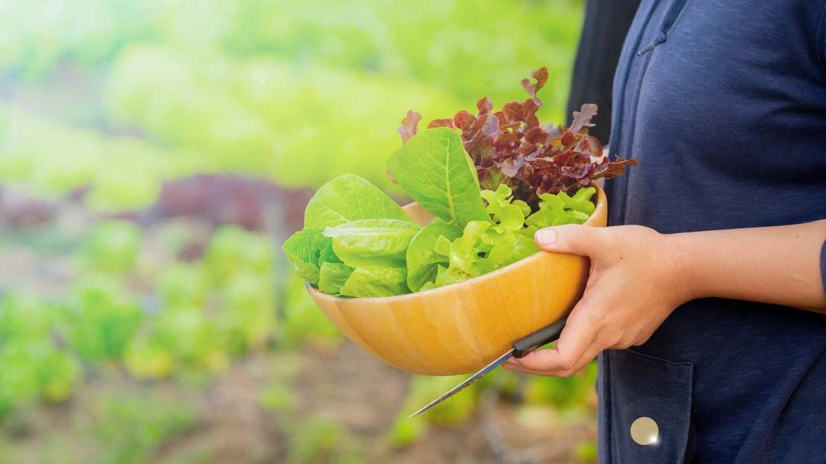 Top 7 Cut-and-Come-Again Vegetables for Continuous Harvesting
