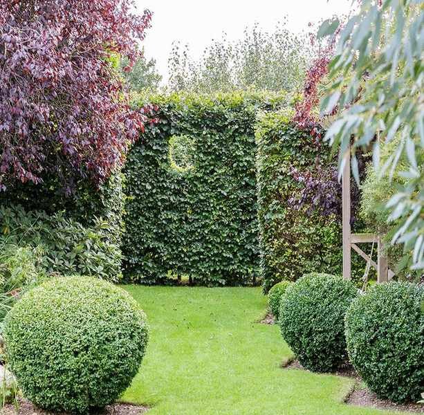 Instagram garden ideas
