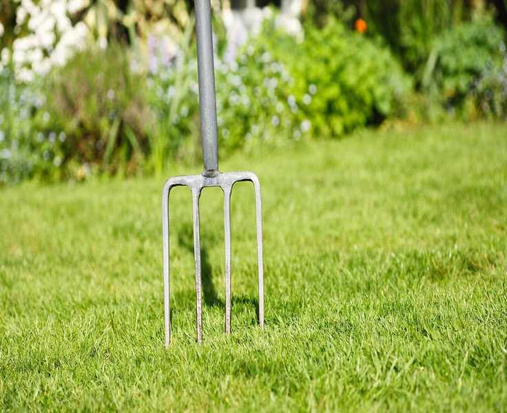 Should You Aerate Before Seeding Your Lawn? Expert Tips Explained