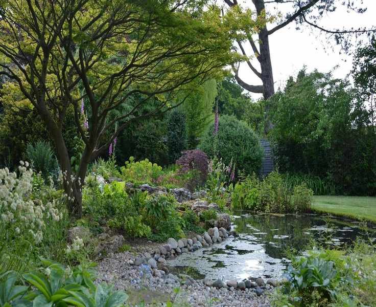 Woodland Garden Inspiration for a Lush Retreat Year-Round