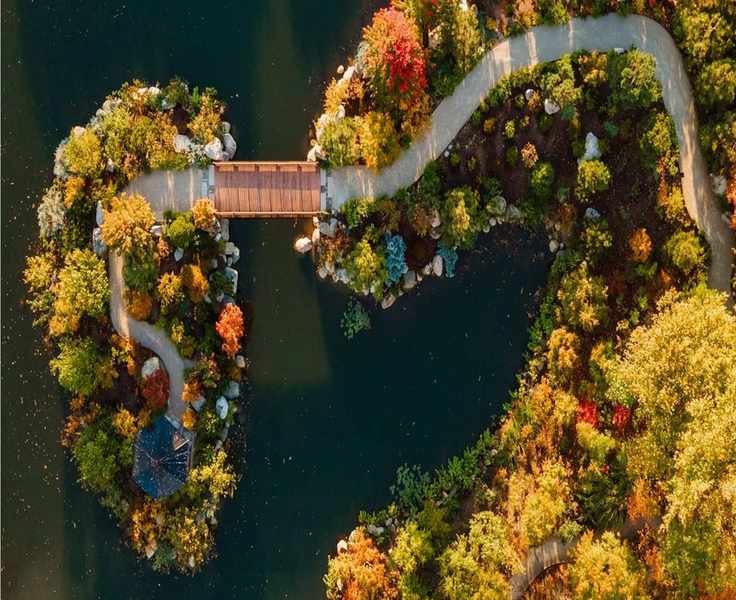 Discovering Nature and Design at Michigan's Japanese Garden