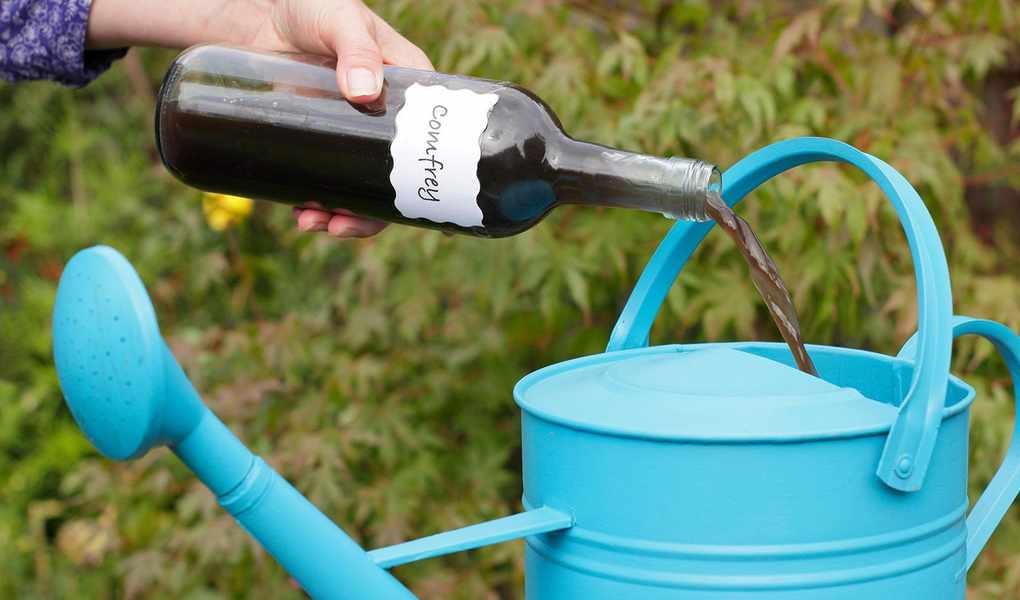 Craft Comfrey Fertilizer for Thriving Plants Naturally