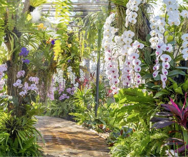 Orchid walkway