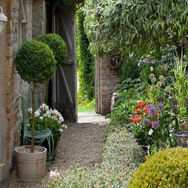 Gravel garden showcasing a path and blooming plants