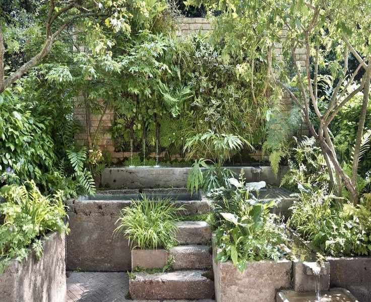 Create a Slug-Proof Barrier with Ferns – Low-Maintenance and Shade-Friendly
