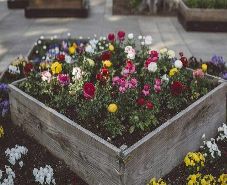 Avoid These 7 Raised Bed Gardening Mistakes for a Thriving Harvest