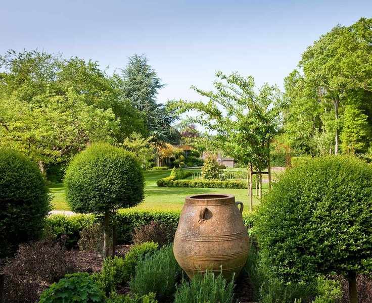 An old urn surrounded by green shrubs and bushes.
