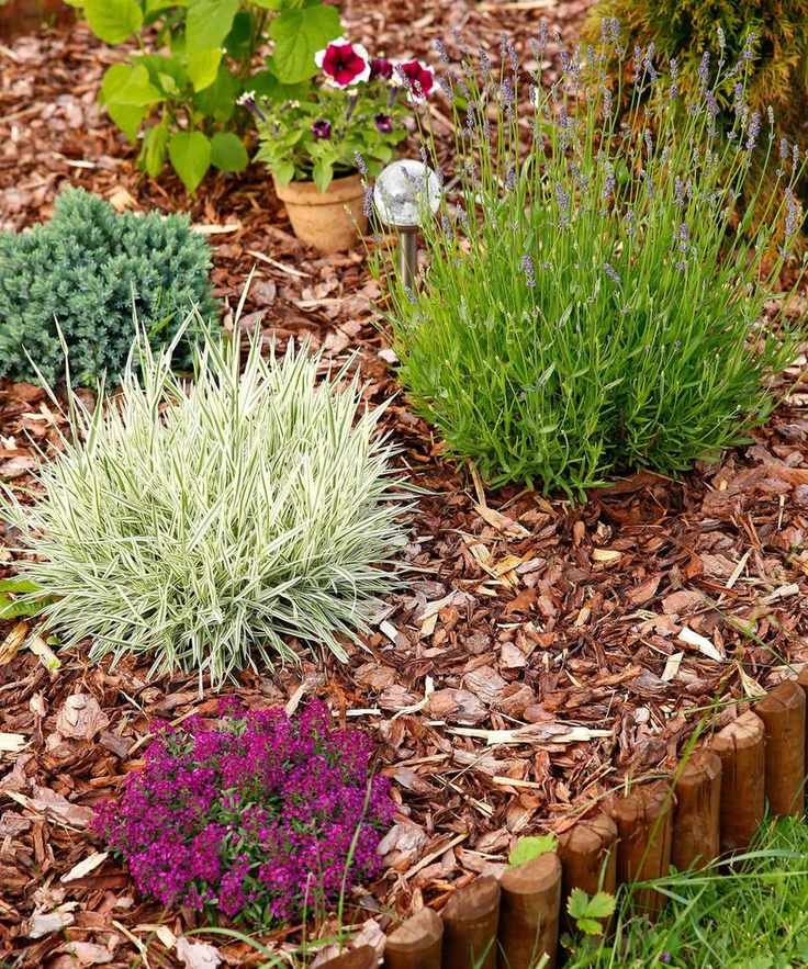 Bark Chipping Mulch