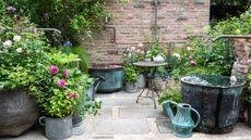 Container garden with concrete pavers and gravel