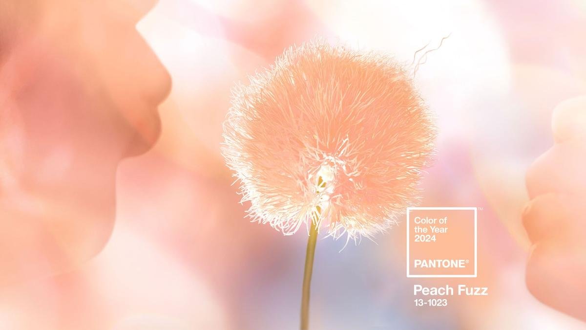 Peach Fuzz: Pantone's Cozy Color of the Year for 2024