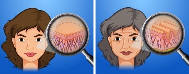 Skin Aging Effect women's Skin Aging Issue Visible Clearly