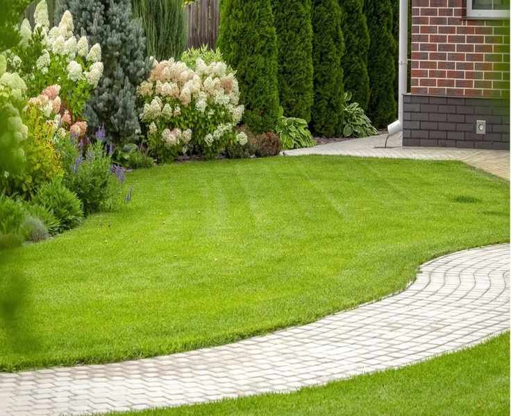 Optimal Timing for Fall Overseeding Your Lawn for Summer Growth