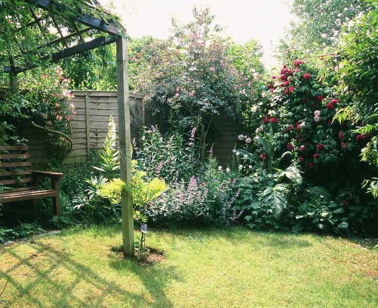Roses used to decorate a lawned garden fence.