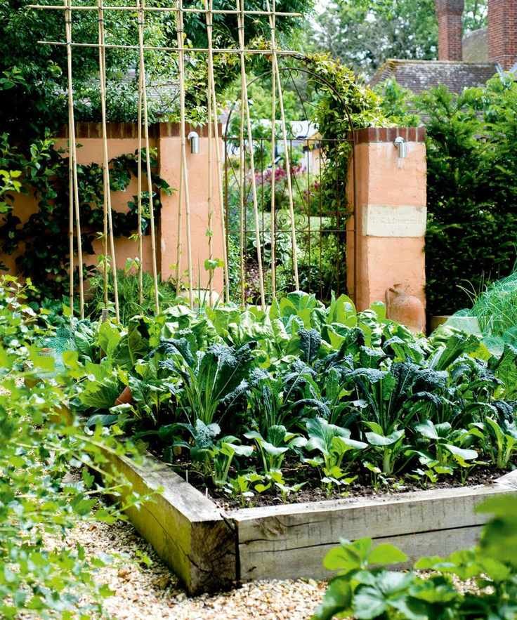 Raised garden beds
