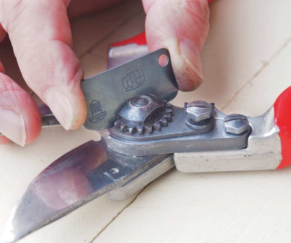 unlocking pruning shears so they can be cleaned