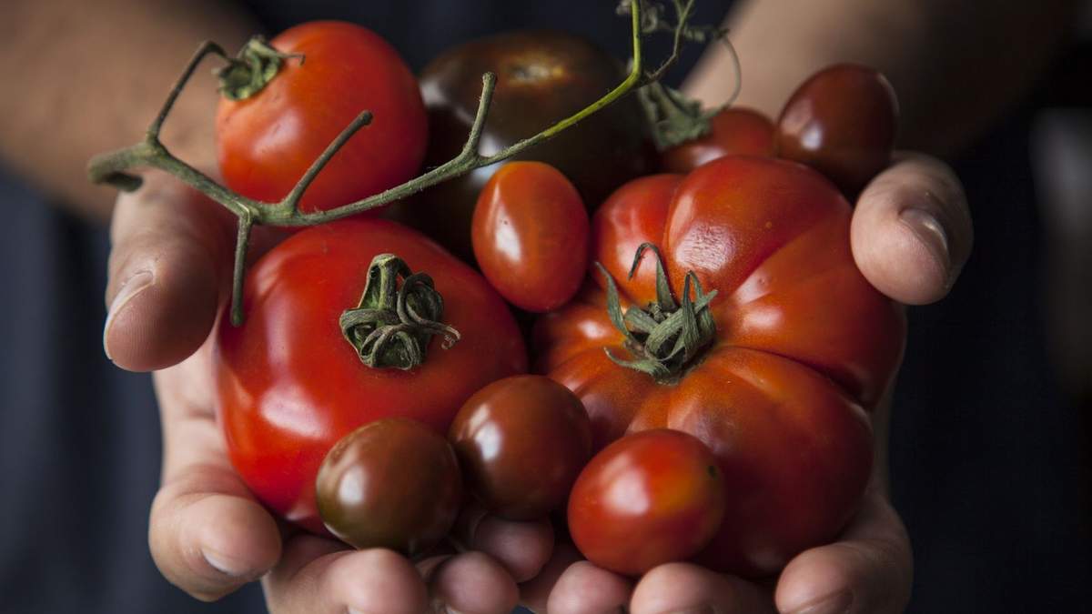 Heirloom Seeds: Discover the Unique Qualities of These Heritage Crops