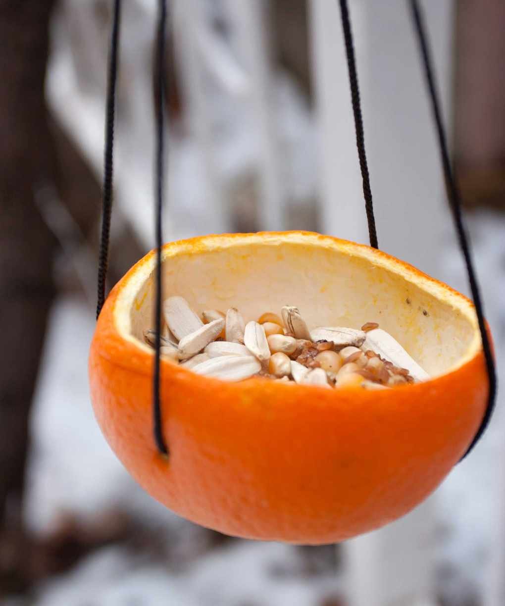 orange DIY bird feeder