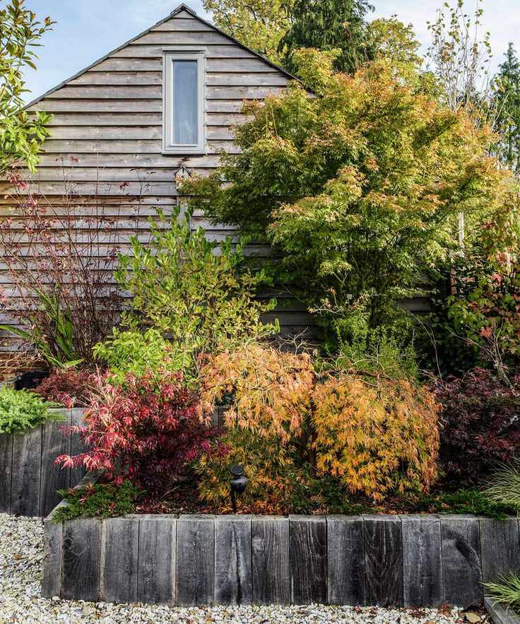 An example of how to plant a flower bed showing raised flower bed with shrubs above a gravel path with a wooden shed in the background