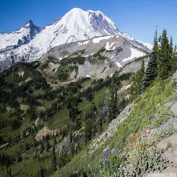 Travel Now: The Time to Explore Is Today