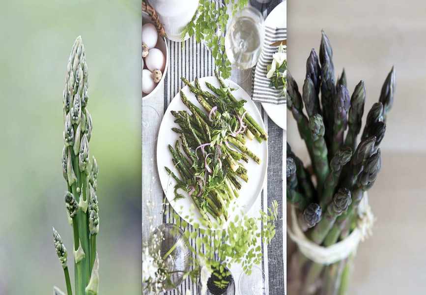Growing Asparagus: A Guide to Cultivating Delicious Spears